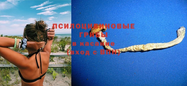 хмурый Алзамай