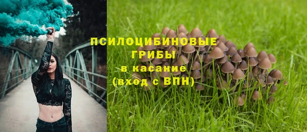 бошки Алексин