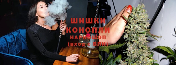 бошки Алексин