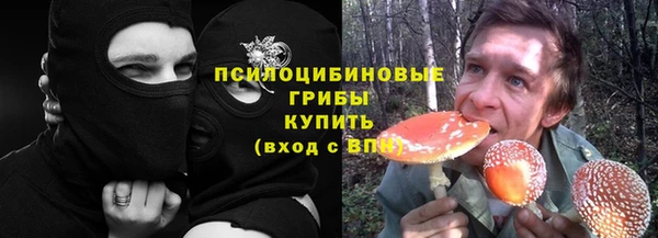 хмурый Алзамай