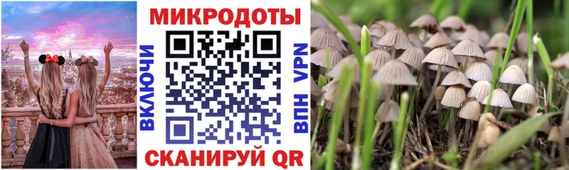Псилоцибиновые грибы Psilocybine cubensis  купить наркотики цена  дарк нет официальный сайт  Железноводск 